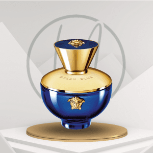 Versace Homme Dylan Blue